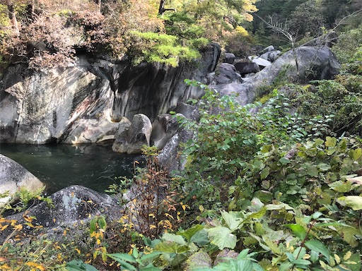 f:id:tmtmz:20201104221630j:image