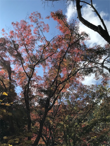 f:id:tmtmz:20201104221656j:image