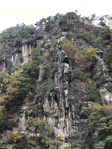 f:id:tmtmz:20201104221659j:image