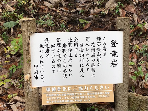 f:id:tmtmz:20201104221705j:image