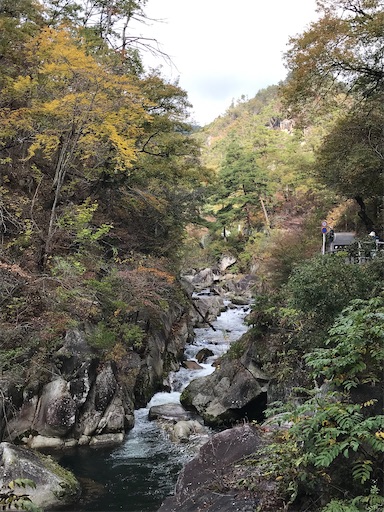 f:id:tmtmz:20201104221801j:image