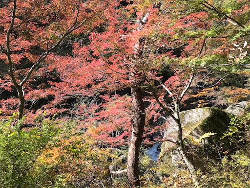 f:id:tmtmz:20201104221817j:image