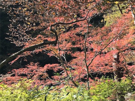 f:id:tmtmz:20201104221824j:image