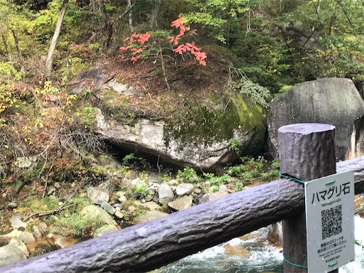 f:id:tmtmz:20201104221827j:image