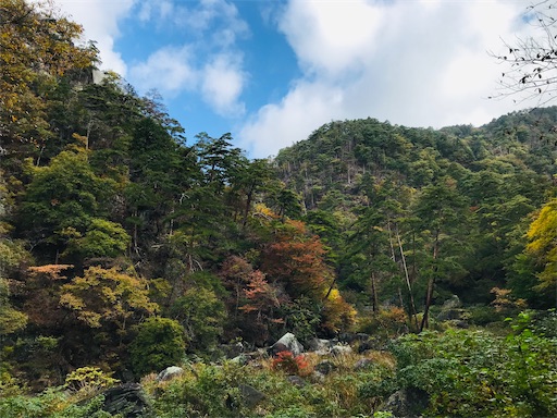 f:id:tmtmz:20201104221845j:image