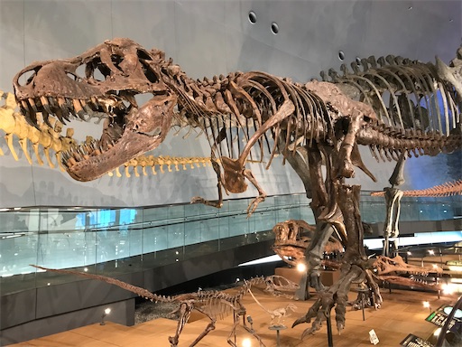 f:id:tmtmz:20201108085235j:image