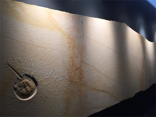 f:id:tmtmz:20201114090458j:image