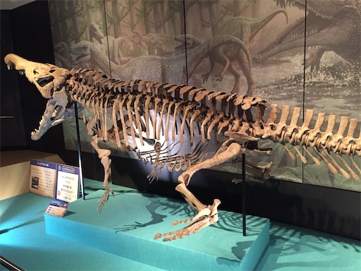 f:id:tmtmz:20201114090504j:image