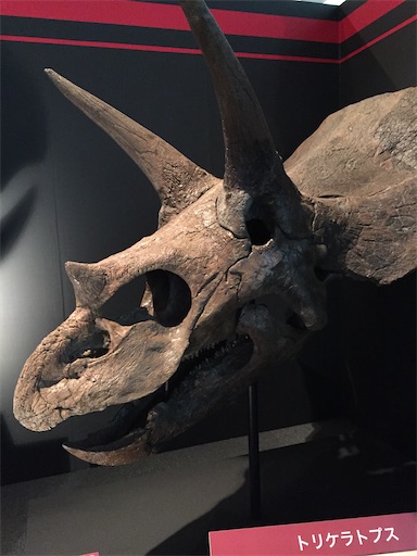 f:id:tmtmz:20201114090507j:image