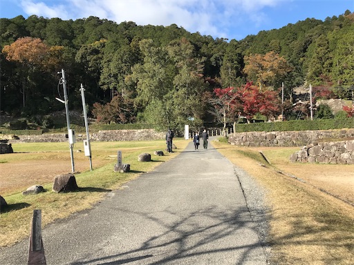 f:id:tmtmz:20201121213049j:image