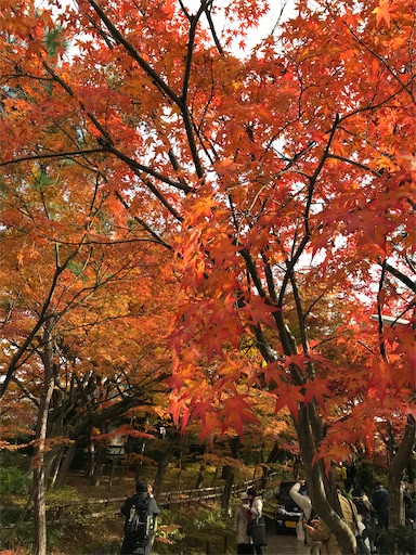 f:id:tmtmz:20201123095109j:image
