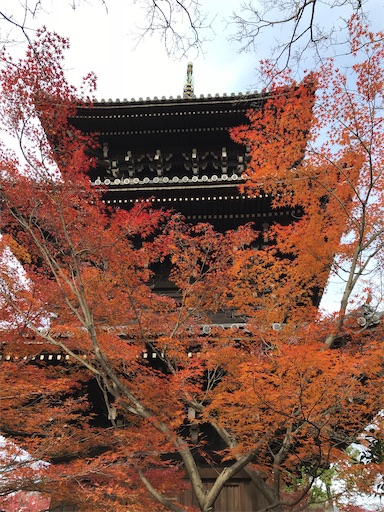 f:id:tmtmz:20201123095115j:image