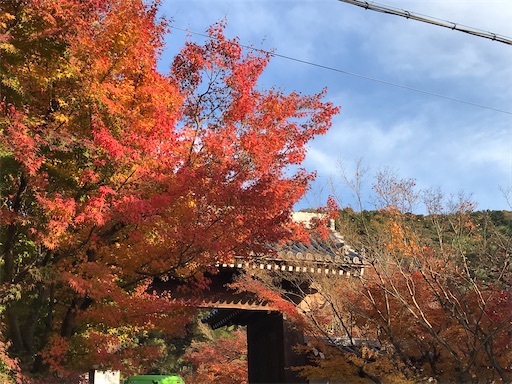 f:id:tmtmz:20201128101758j:image
