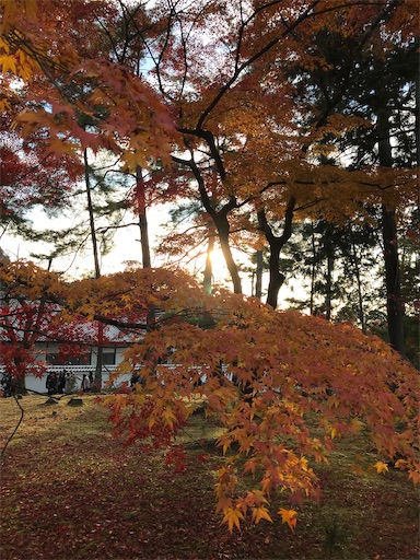 f:id:tmtmz:20201128101811j:image