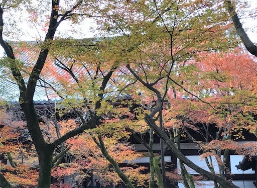 f:id:tmtmz:20201213094143j:image