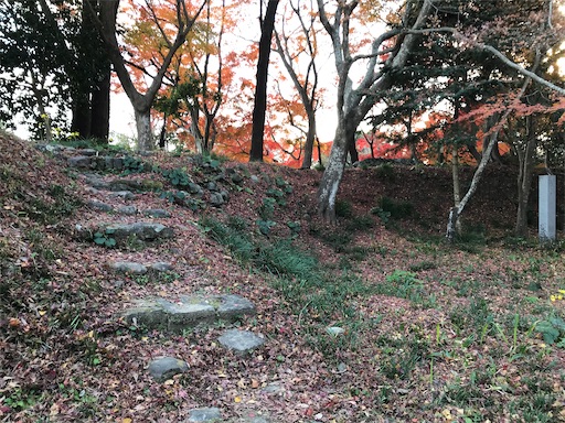 f:id:tmtmz:20201219213903j:image f:id:tmtmz:20201219213903j:image