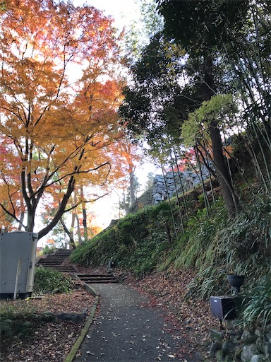 f:id:tmtmz:20201219213933j:image f:id:tmtmz:20201219213933j:image