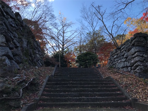 f:id:tmtmz:20201219213943j:image f:id:tmtmz:20201219213943j:image