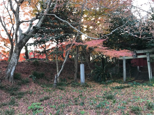 f:id:tmtmz:20201219214003j:image f:id:tmtmz:20201219214003j:image