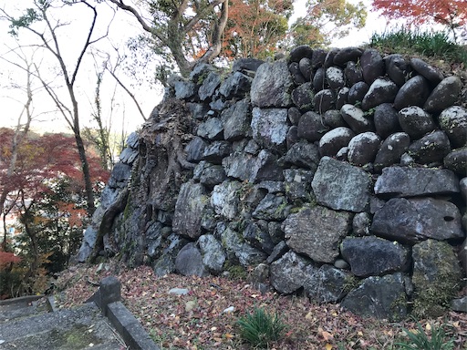 f:id:tmtmz:20201219214006j:image f:id:tmtmz:20201219214006j:image