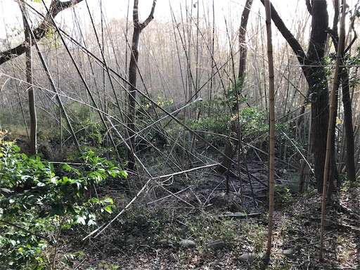 f:id:tmtmz:20201219214009j:image f:id:tmtmz:20201219214009j:image