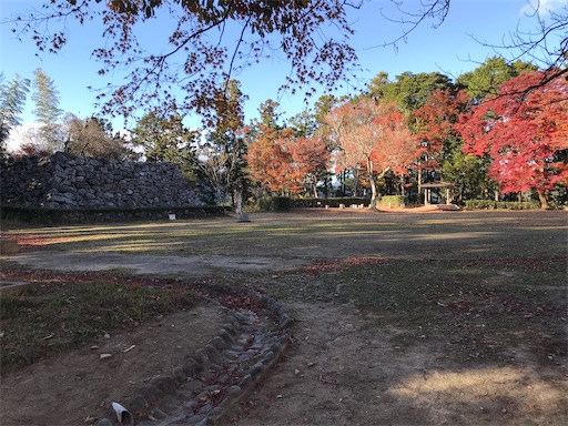 f:id:tmtmz:20201219214019j:image f:id:tmtmz:20201219214019j:image