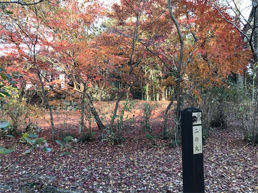 f:id:tmtmz:20201219214038j:image f:id:tmtmz:20201219214038j:image