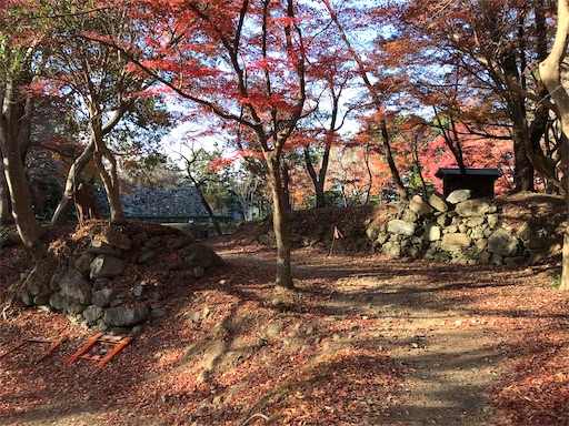 f:id:tmtmz:20201219214049j:image f:id:tmtmz:20201219214049j:image