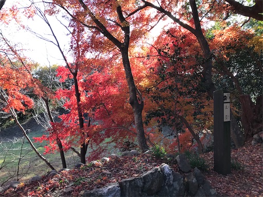 f:id:tmtmz:20201219214053j:image f:id:tmtmz:20201219214053j:image