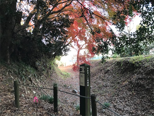 f:id:tmtmz:20201219214128j:image f:id:tmtmz:20201219214128j:image