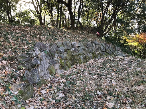 f:id:tmtmz:20201219214144j:image f:id:tmtmz:20201219214144j:image