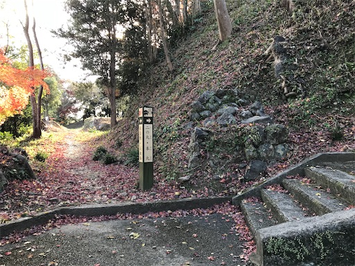 f:id:tmtmz:20201219214153j:image f:id:tmtmz:20201219214153j:image