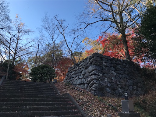 f:id:tmtmz:20201219214156j:image f:id:tmtmz:20201219214156j:image