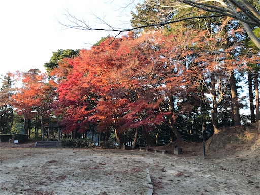 f:id:tmtmz:20201219214203j:image f:id:tmtmz:20201219214203j:image