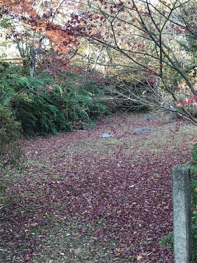 f:id:tmtmz:20201219215021j:image