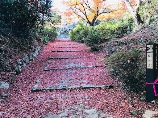 f:id:tmtmz:20201219215046j:image