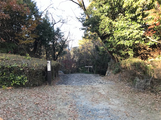 f:id:tmtmz:20201219215114j:image