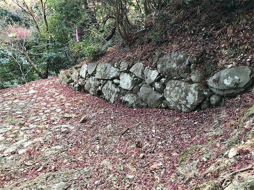 f:id:tmtmz:20201219215153j:image