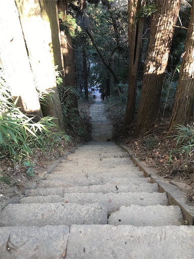 f:id:tmtmz:20201225211733j:image f:id:tmtmz:20201225211733j:image