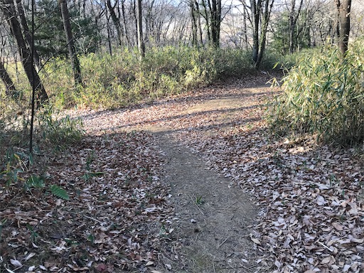 f:id:tmtmz:20201225211818j:image f:id:tmtmz:20201225211818j:image