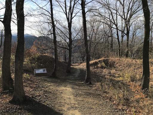 f:id:tmtmz:20201225211844j:image f:id:tmtmz:20201225211844j:image