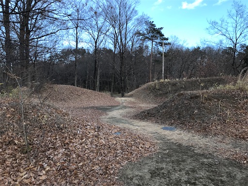 f:id:tmtmz:20201225211908j:image f:id:tmtmz:20201225211908j:image