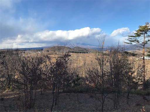 f:id:tmtmz:20201225211928j:image f:id:tmtmz:20201225211928j:image