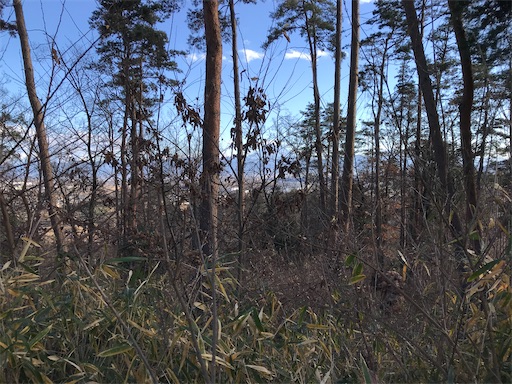 f:id:tmtmz:20201225211950j:image f:id:tmtmz:20201225211950j:image