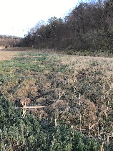 f:id:tmtmz:20201225211957j:image f:id:tmtmz:20201225211957j:image