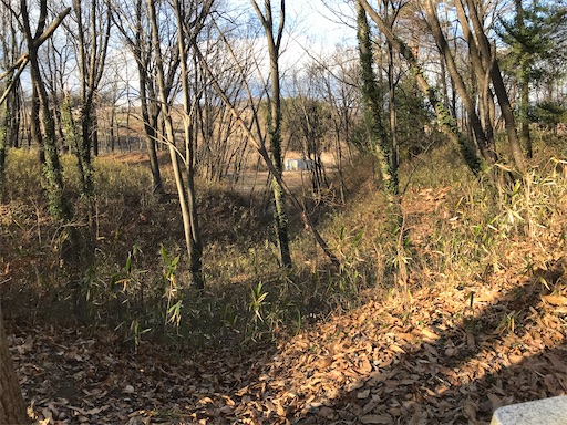 f:id:tmtmz:20201225212020j:image f:id:tmtmz:20201225212020j:image