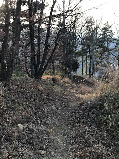 f:id:tmtmz:20201225212123j:image f:id:tmtmz:20201225212123j:image