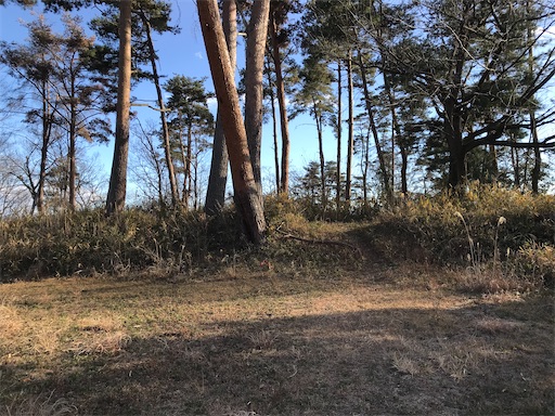 f:id:tmtmz:20201225212204j:image f:id:tmtmz:20201225212204j:image