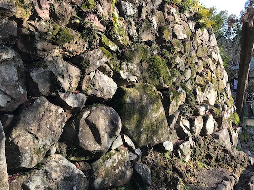 f:id:tmtmz:20201228230626j:image