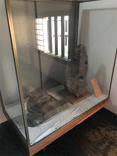 f:id:tmtmz:20201228230809j:image f:id:tmtmz:20201228230809j:image